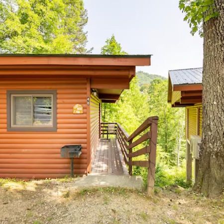 Lazy Bear Cabin Near Nantahala Outdoor Center And Брайсън Сити Екстериор снимка