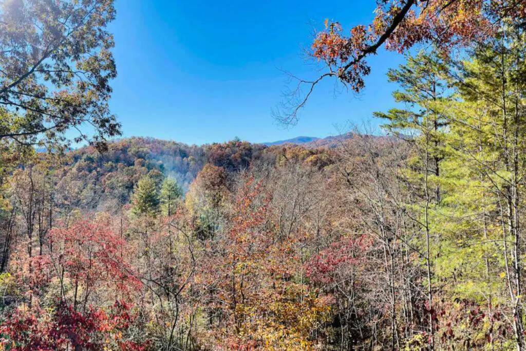 Lazy Bear Cabin Near Nantahala Outdoor Center And Брайсън Сити Екстериор снимка