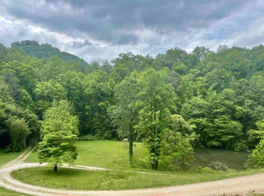 Lazy Bear Cabin Near Nantahala Outdoor Center And Брайсън Сити Екстериор снимка