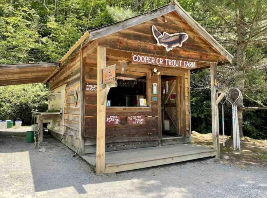 Lazy Bear Cabin Near Nantahala Outdoor Center And Брайсън Сити Екстериор снимка