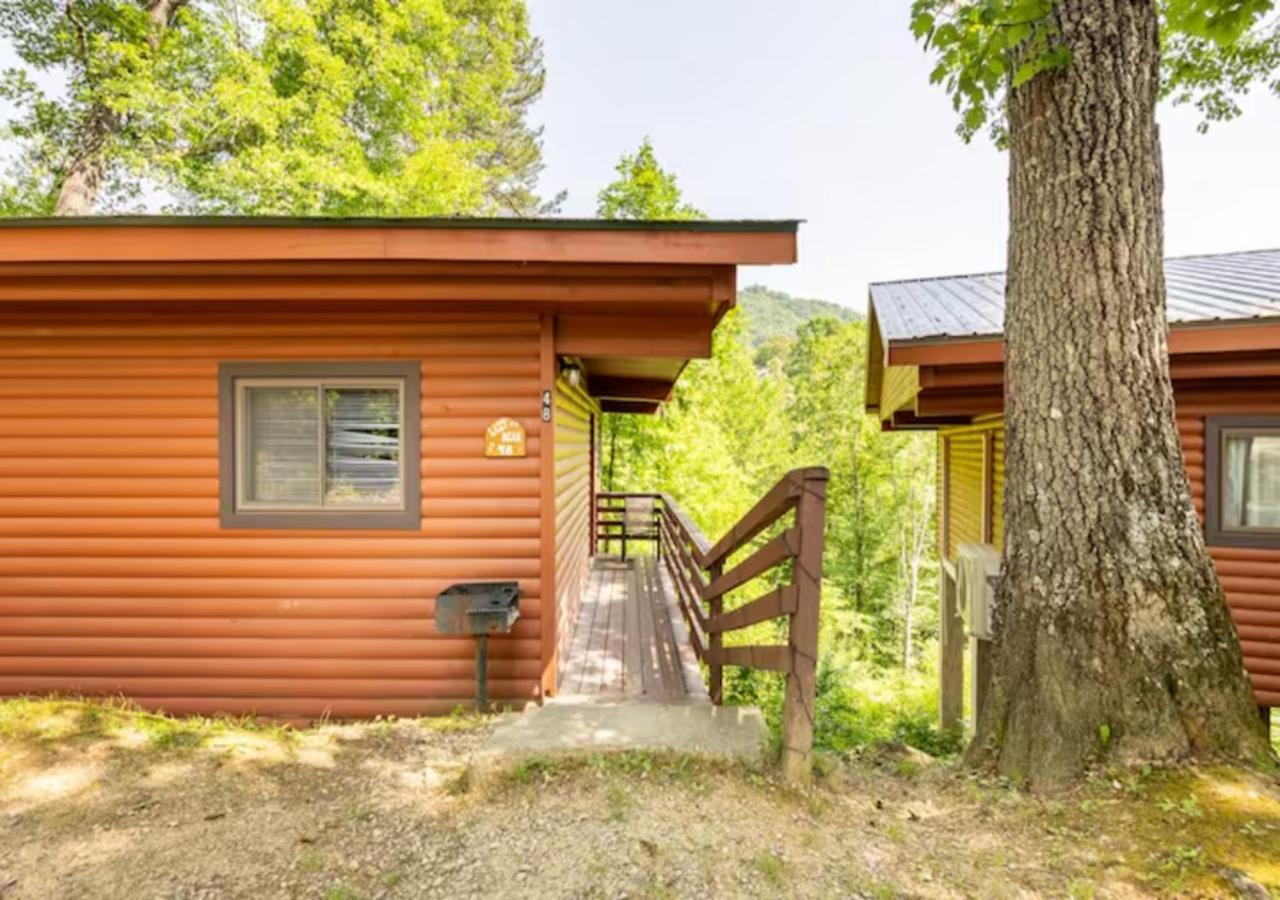 Lazy Bear Cabin Near Nantahala Outdoor Center And Брайсън Сити Екстериор снимка